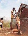 मनरेगा बनेगा वीबी-जी राम जी1