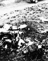 बारामती: ब्लैक बॉक्स मिला, जांच तेज26