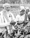 कांग्रेस घुसपैठियों का कर रही समर्थनः मोदी28