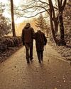 The Benefits Of Mild Exercises - Personal Health The Benefits Of Mild Exercises - Personal Health