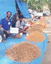 Kadlekayi Parishe: From tons of waste to just some