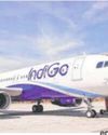 Indigo crash-lands at the bottom of global survey