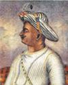 Is there a ban on celebrating Tipu's birth anniversary?