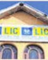 LIC's unclaimed maturity amounts at ₹881 cr in FY24