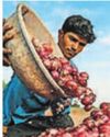 Scrap 20% export duty on onions, Ajit urges Centre