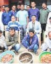 Five alleged poachers arrested for killing Cheetal