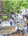 National Parks, Pachmarhi Favourite Among New Year Revellers