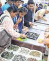 A Rare Coin Collection on Display for Punekars