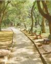 Cancel New Year festivities: Cubbon Park walkers