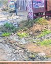 PMC begins cleaning NIBM Annexe area