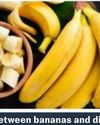 Are bananas safe for diabetics?