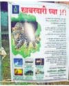 Leopard sighting in Kharghar; forest dept launches hunt