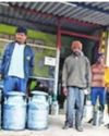 Six-fold increase in milk collection