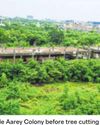 2000 Aarey trees illegally cut since 2022