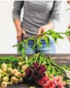 Flower Freshness Hacks Flower Freshness Hacks115
