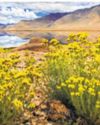 Ladakhi By Nature Ladakhi By Nature129