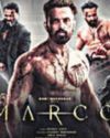 CBFC seeks Centre's help to block 'Marco' OTT release