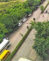 New proposal to spare 190 trees the chop in Kandivali