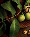 From Tree To Treat From Tree To Treat125