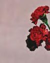 You're IN LOVE11