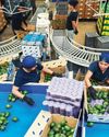 US signals broader tariff reprieve for Canada, Mexico; trade gap grows US signals broader tariff reprieve for Canada, Mexico; trade gap grows