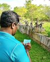 Lanka begins wildlife survey on crop damage