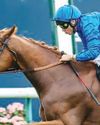 Tribalist eyes G2 Prix du Muguet hat-trick53