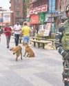India wants attackers brought to justice: FM India wants attackers brought to justice: FM