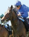 Alpine Trail, Devil's Advocate to vie for Dante Stakes58