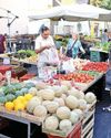 Eurozone business growth stalls in May as services stumble: PMI22