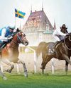 Sweden to host historic €100,000 UAE President's Cup for Arabian Horses68