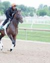 Journalism and Sovereignty to renew rivalry at Belmont Stakes68