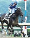 Sovereignty lays down law with superb G1 Belmont Stakes win59