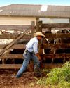 Why 'King of Cattle' is embracing a plan to save the Amazon27