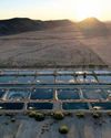 Farm raising fish raises questions about water use29