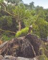 Five killed, two missing in Vietnam floods22