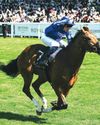 Gosdens celebrate Ascot double as Buick motors home on Ombudsman60