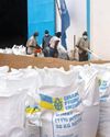 Ukraine seeks African allies through food and diplomacy31
