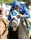 Tough task awaits First Mission in Group 1 Stephen Foster Stakes59