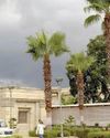 Yellow alert issued in 13 Gujarat districts31