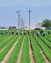 Immigrants weigh health coverage against deportation risk29