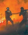 Syria wildfires force hundreds to flee19