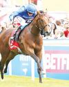 Maximized bids to maintain unbeaten record in G2 July Stakes at Newmarket50