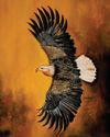 Art is Life by Hayat Arts opens at Cross Borders Art Gallery, Dubai53