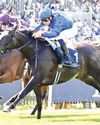 Cinderella's Dream comes true in Falmouth Stakes56
