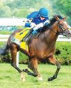 Nations Pride and El Cordobes duel for G1 Sword Dancer glory56