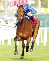 Diamond Rain tests G1 waters in E P Taylor Stakes; Spy Chief eyes G2 glory52