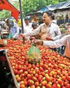 India plans consumption tax cuts by October to strengthen economy42