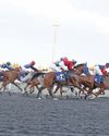 16 elite horses in fray for tenth round of UAE President's Cup Series race in Kazan60