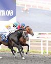 Tawfiq triumphs at UAE President's Cup for Purebred Arabian Horses race in Kazan61